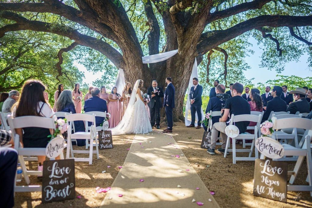 Wedding ceremony happening under huge tree.