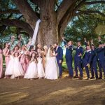 Wedding party celebrates and newlyweds kiss under tree.
