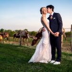 Wedding couple posing for photo along a barbwire fence with cattle in the background.